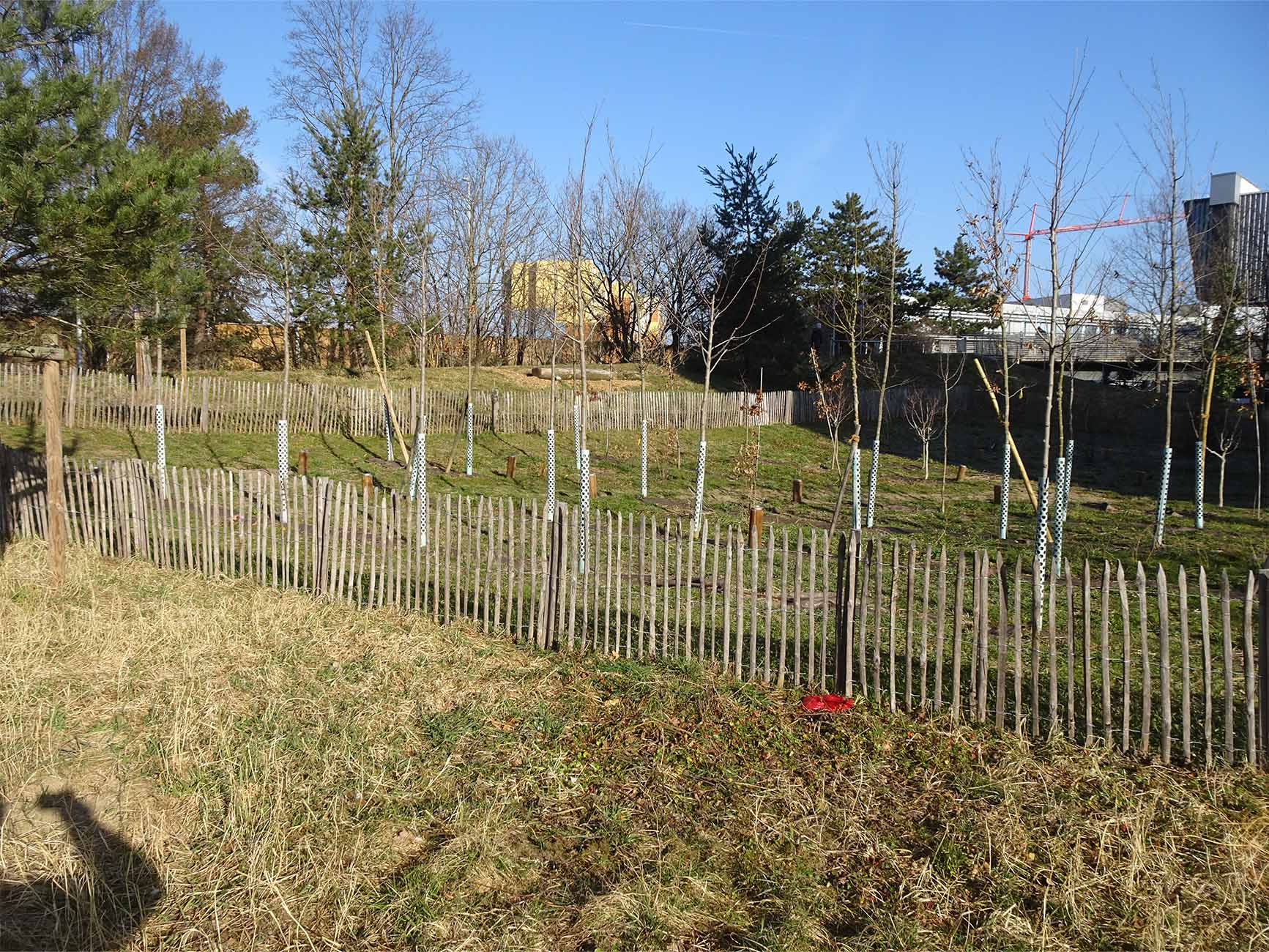 Bilan environnemental des pratiques du service des espaces verts de Vernier (GE)